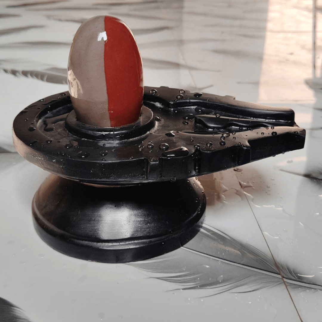5” Premium Dual Tone Narmadeshwar Shivling with 10” Black Jaladhari Base – Divine Half Red Finish