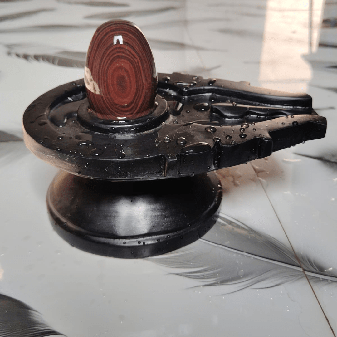 5” Designer Ring Pattern Narmadeshwar Shivling with 10” Premium Black Jaladhari Base – Natural Circular Stone Finish