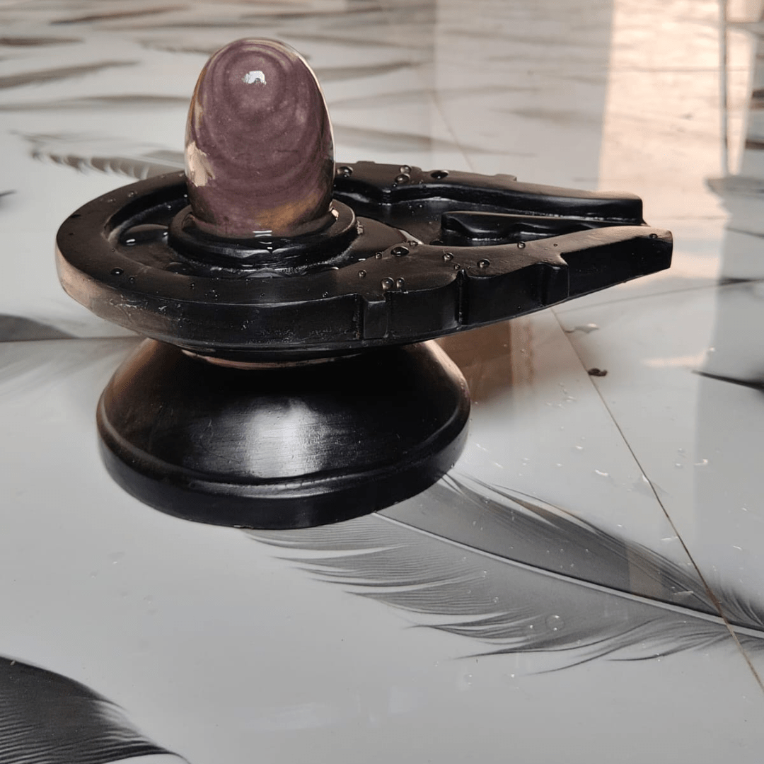 5” Premium Purple Narmadeshwar Shivling with 10” Black Jaladhari Base