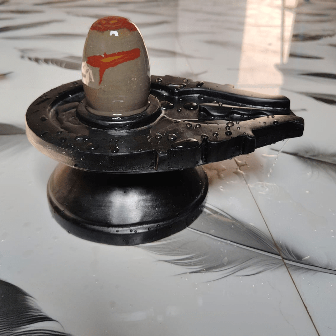 5” Sacred Grey Narmadeshwar Shivling with Natural Red Tilak Design & 10” Black Jaladhari Base