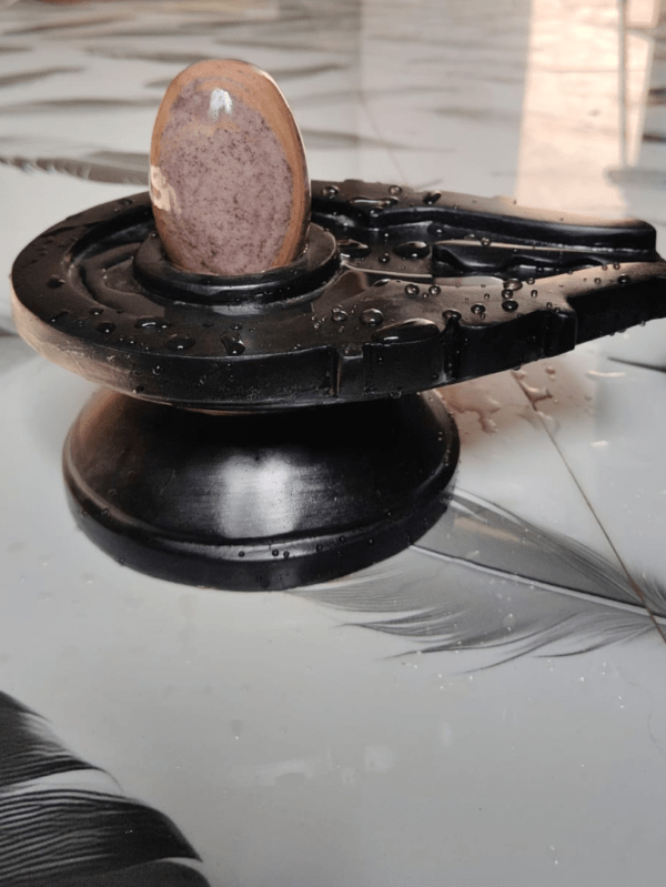 5” Natural Beige Narmadeshwar Shivling with 10” Premium Black Jaladhari Base