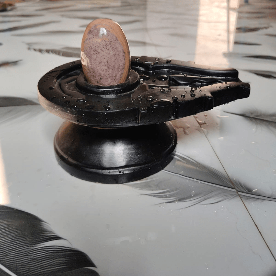 5” Natural Beige Narmadeshwar Shivling with 10” Premium Black Jaladhari Base