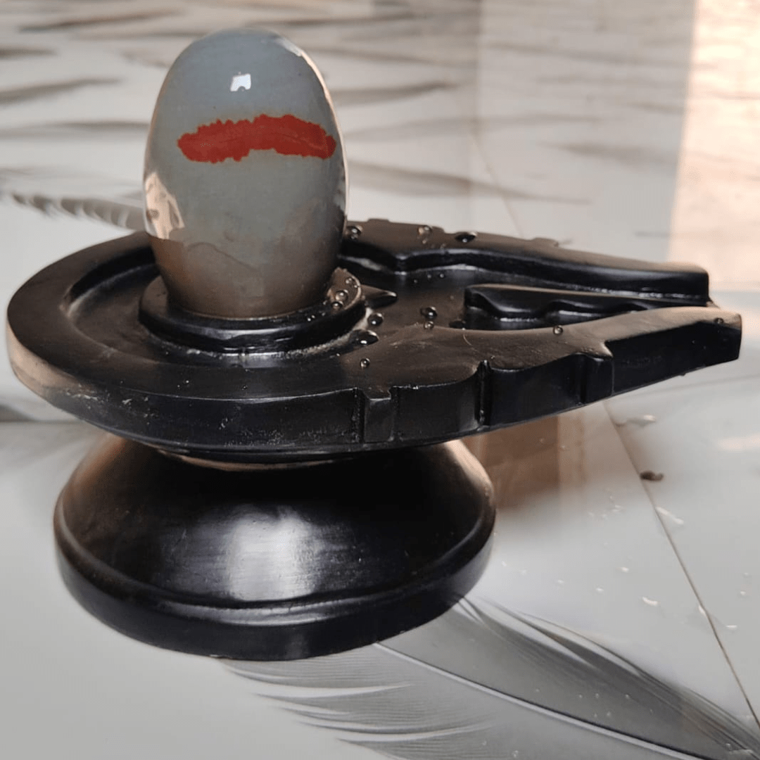 5” Sacred Grey Narmadeshwar Shivling with 10” Black Jaladhari Base – Natural Red Tilak Stone Finish