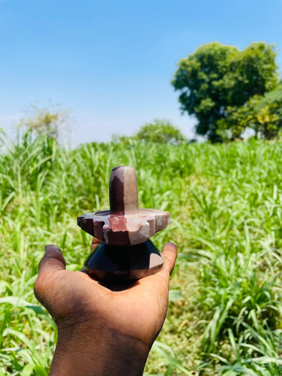 2 Inch Handcrafted Narmadeshwar Shivling for Home Temple