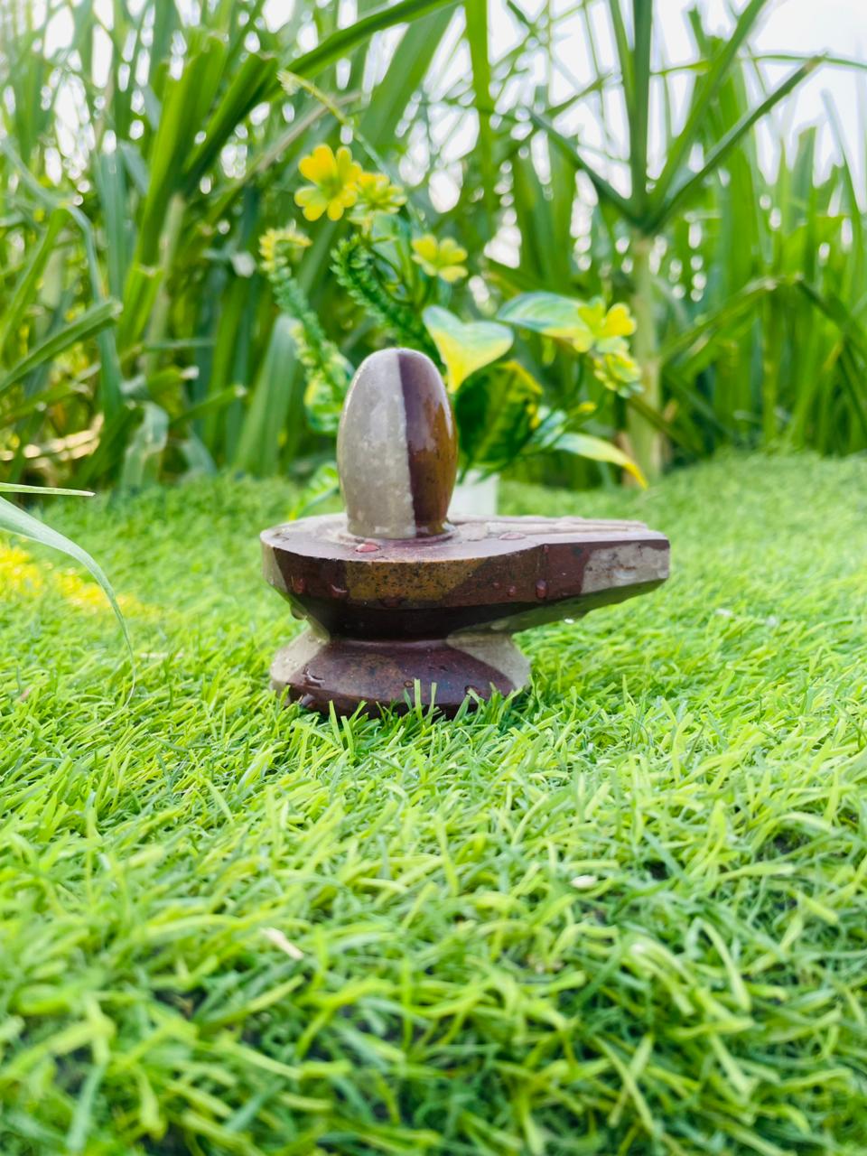 2 Inch Natural Narmadeshwar Shivling with Marble Jaladhari