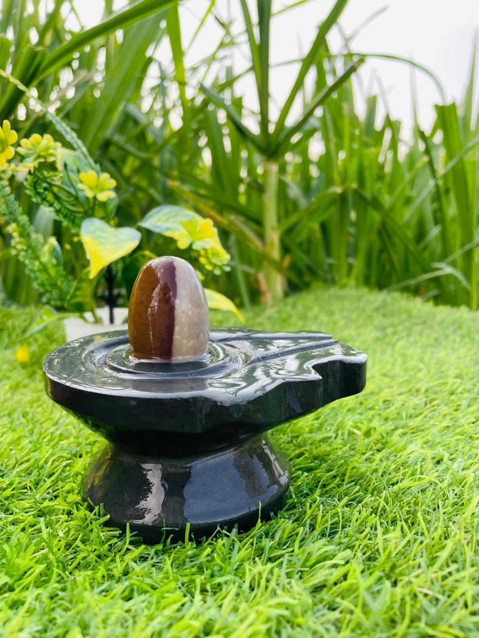 2 Inch Premium Black Narmadeshwar Shivling for Home Temple