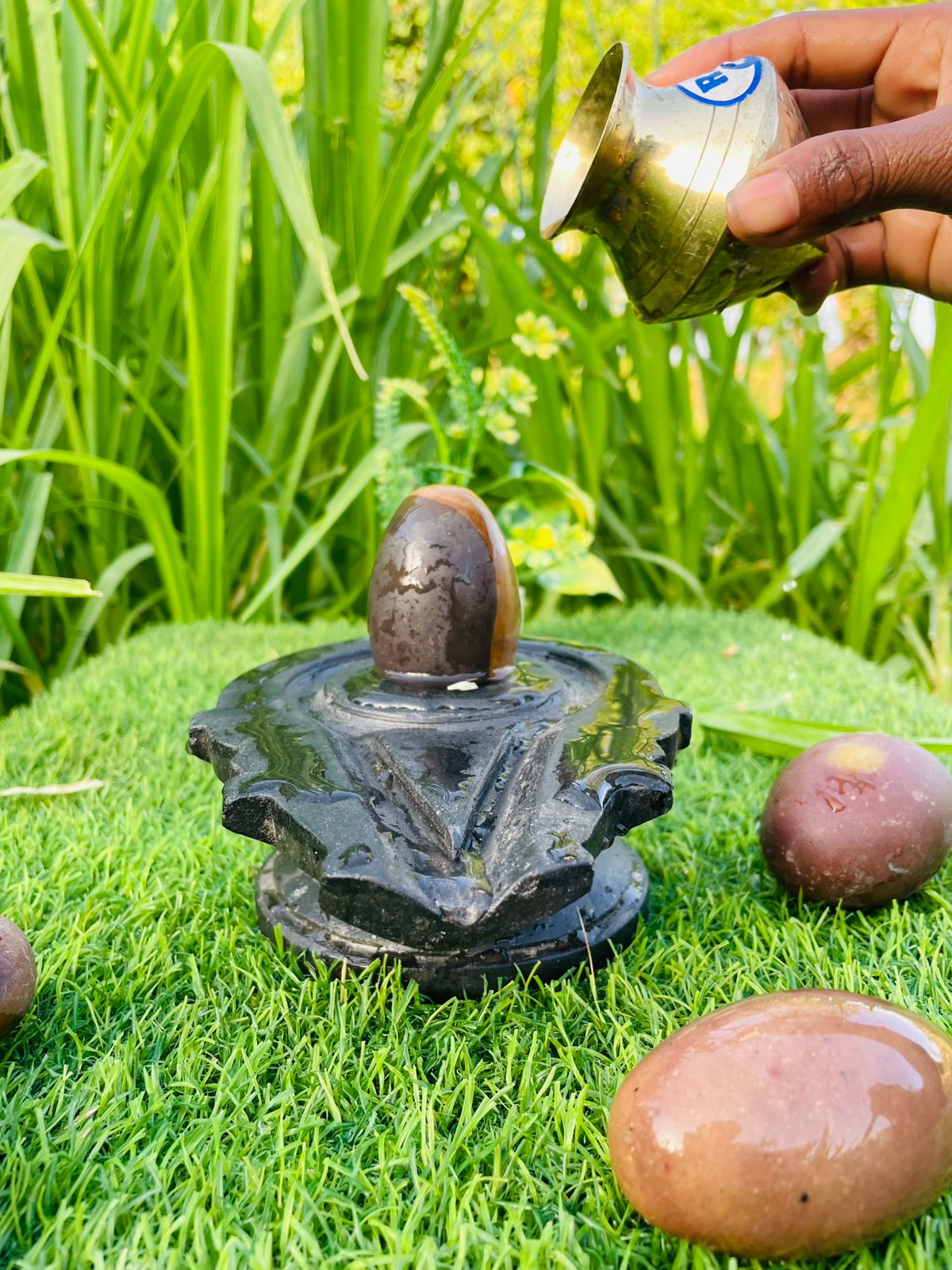 3 Inch Natural Narmadeshwar Shivling with 6 Inch Premium Black Jaladhari