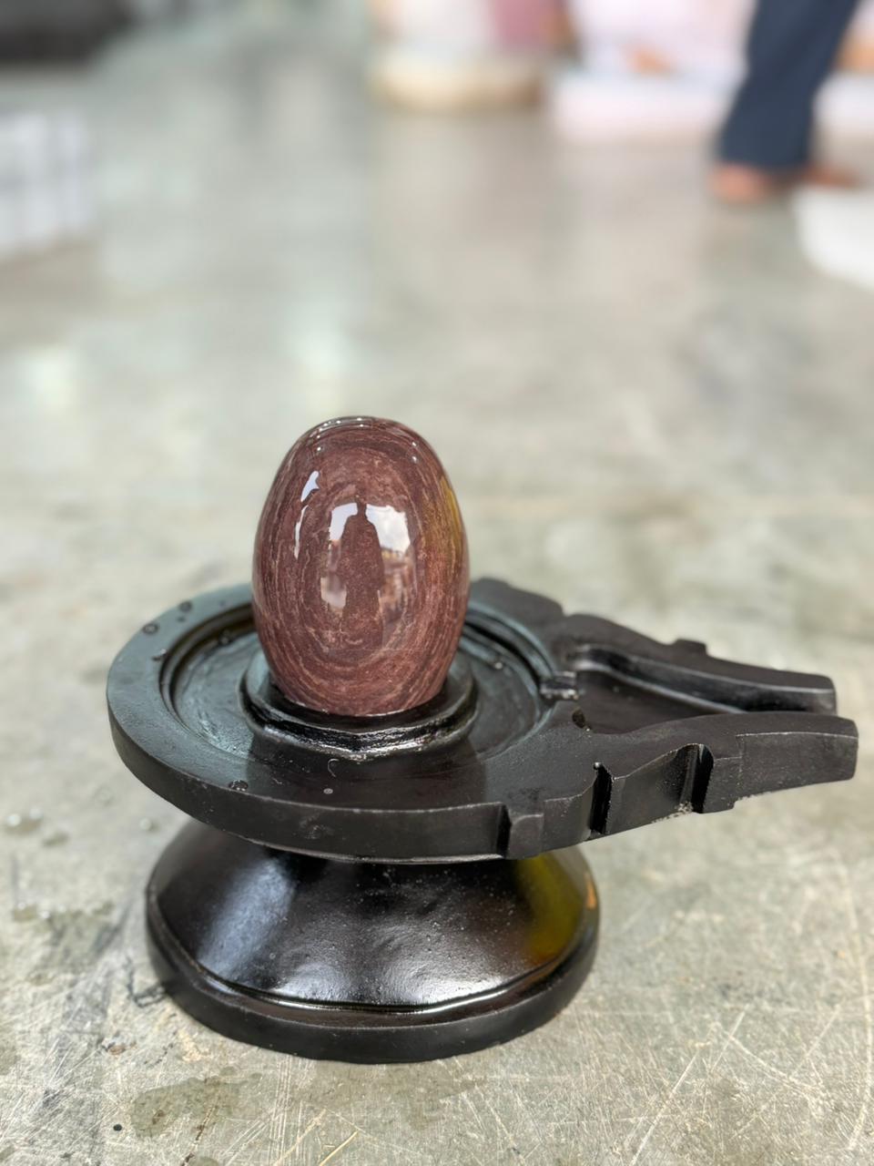 2” Premium Oval Narmadeshwar Shivling with 4” Black Jaladhari Base – Natural Brown Stone Finish